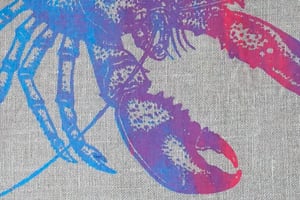 Image of Lobster (Blue & Pink)