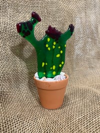 Image 9 of Cactus