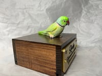 Image 9 of Handmade Custom Engraved Indian Ring Neck Parrot Urn Handpainted Pet Portrait