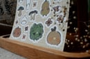 Image 5 of Bearshroom Sticker Sheets