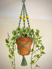 The Enchanted Forest Plant Hanger