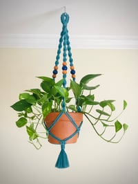 Azure Sky Plant Hanger 