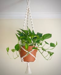 The Classic Boho Macrame Plant Hanger