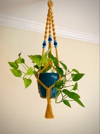 Sunflower Daydream Plant Hanger