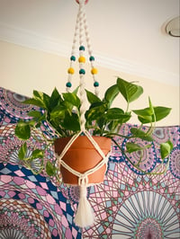 Custom Plant Hanger 