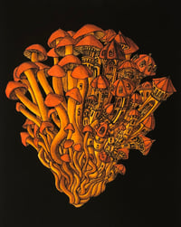 Image 3 of Fungi Landing BK