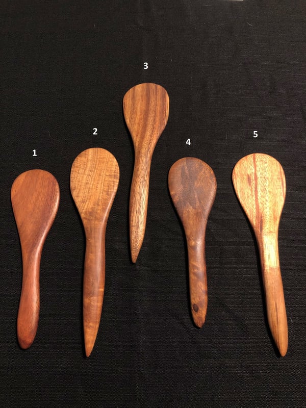 Image of Rice Paddle