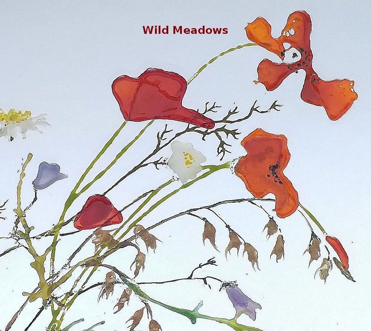 Wild Meadows