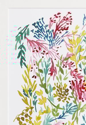 Image of LÁMINA CLARITA