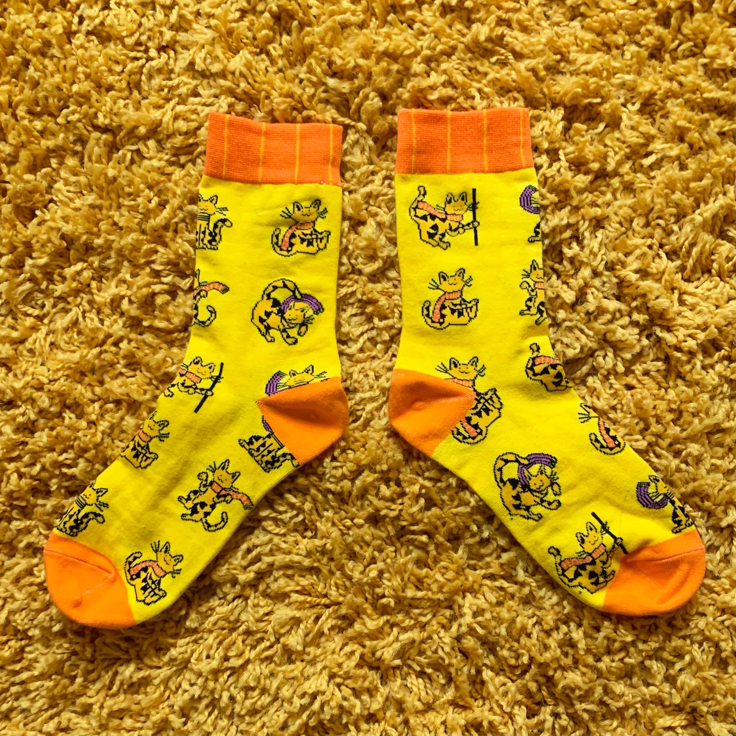 Wandering Cats Socks