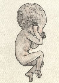 Reborn 