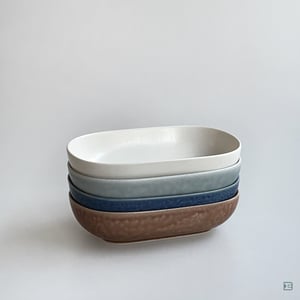Yumiko Iihoshi Porcelain ReIRABO oval plate S