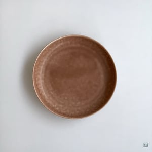 Yumiko Iihoshi Porcelain ReIRABO round plate L