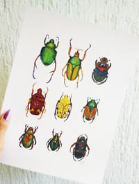 Image 4 of Coleoptera study Watercolor Illustration PRINT 