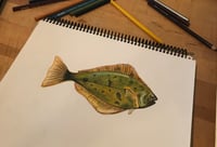 Image 3 of Halibut Sticker 