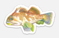 Image 4 of One of every sticker available in the shop!