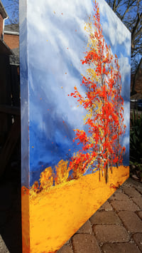 Image 2 of - Blue Skies Coming -