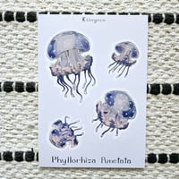 Image 5 of Jellyfish Sticker Sheet 🪼