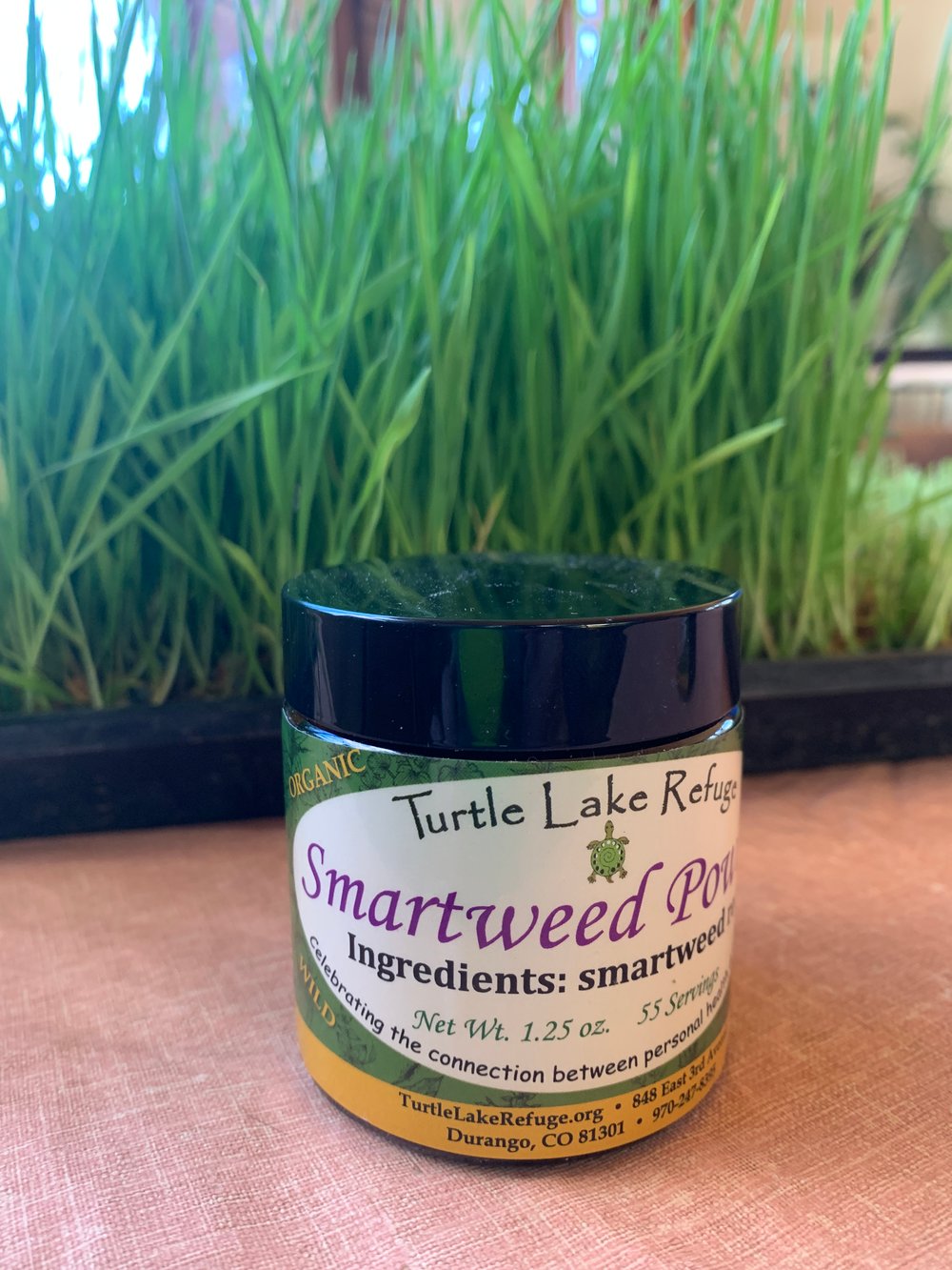 Smartweed Powder