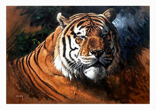 Image of Tiger Shadow