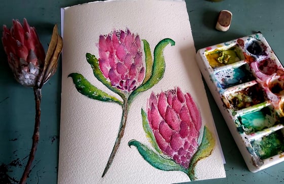 Image of Precious Protea