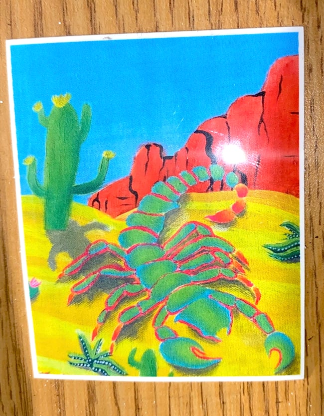 Scorpion Sticker 