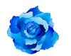 Blue Rose Sticker 