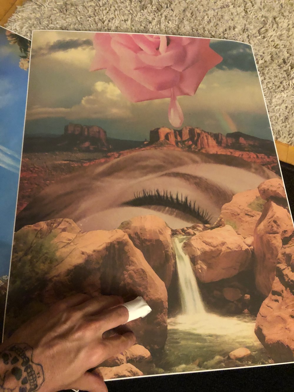 Desert rose poster 