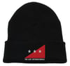 TLI Flag logo beanie