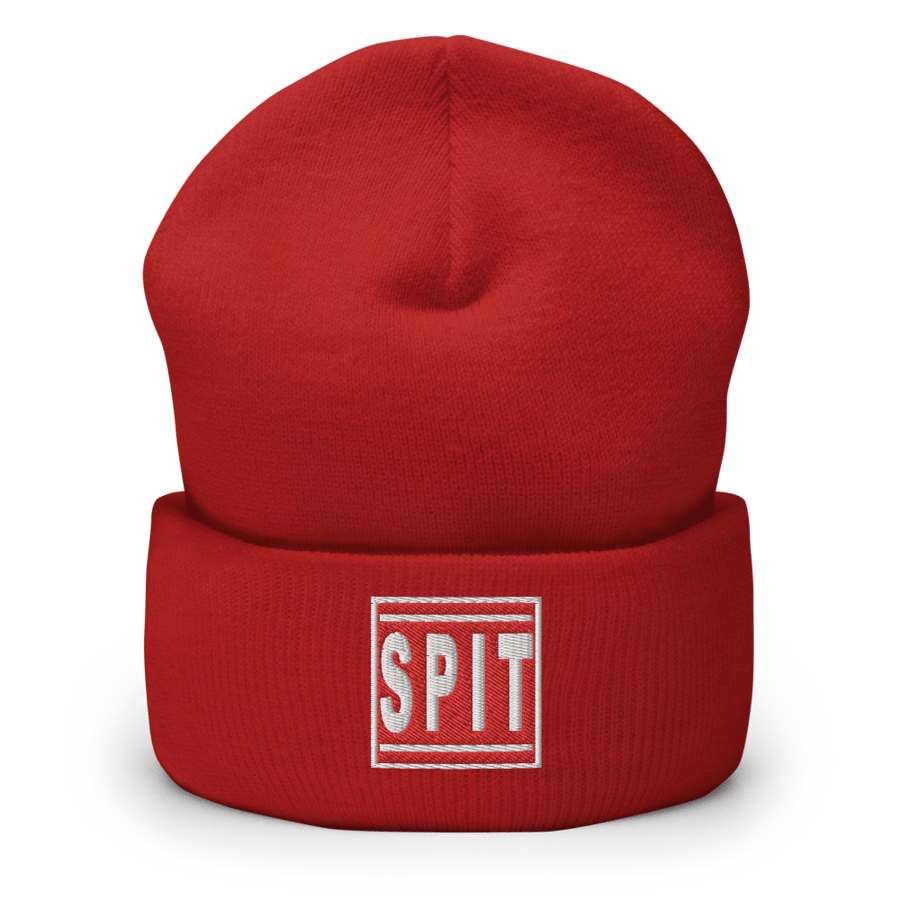 Image of Box Logo Beanie (Red)