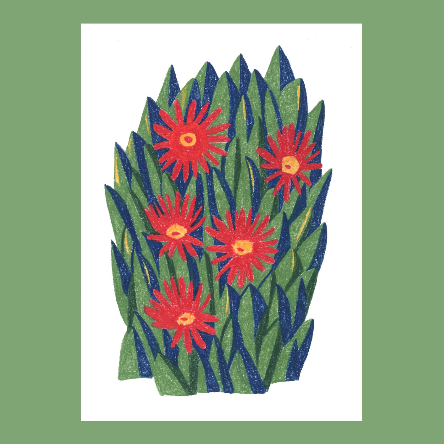 Cactus A4 Print - pre-order