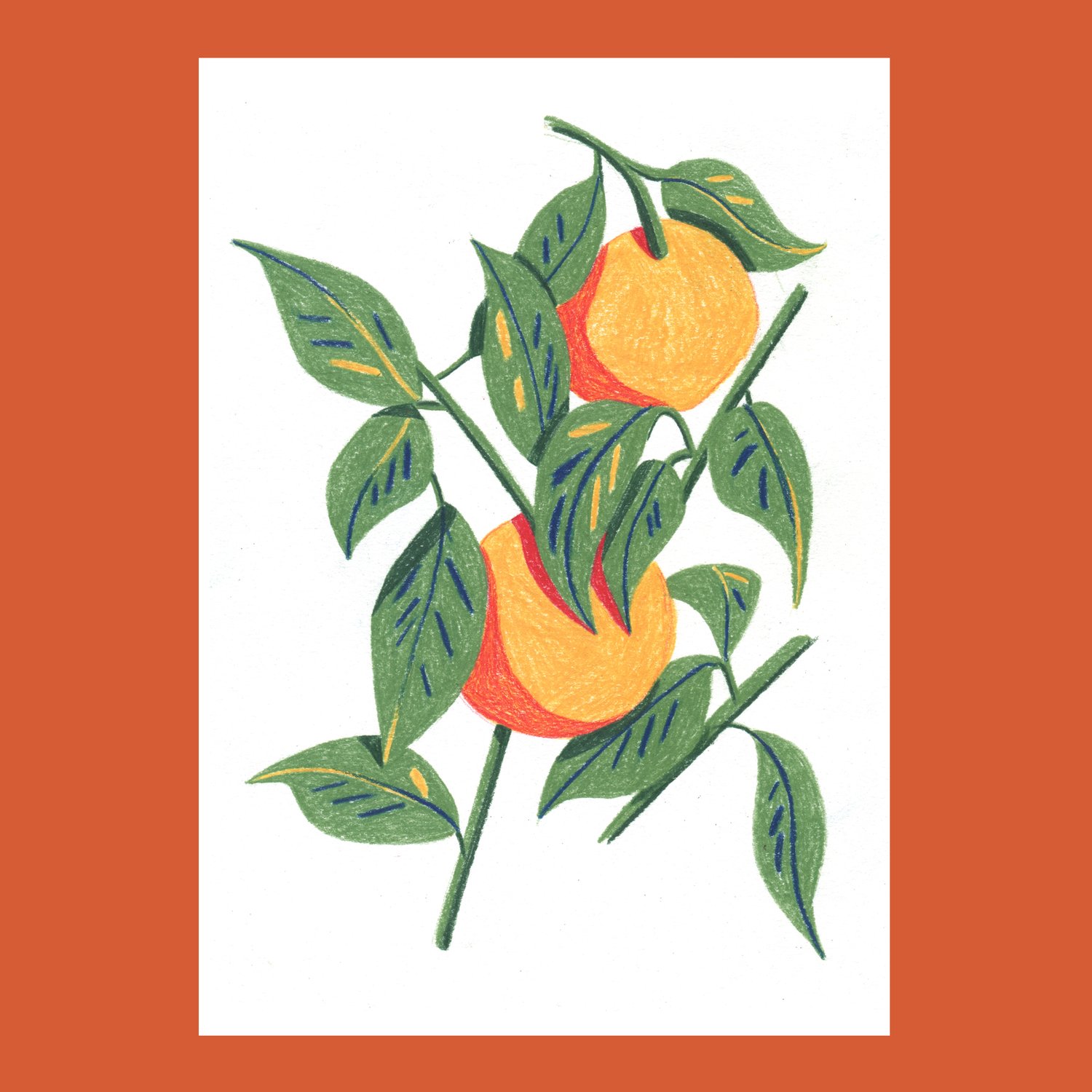Oranges A4 Print - pre-order
