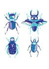 THE BEETLES PRINT