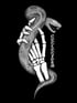 „The Snake“ long sleeve Image 3