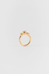 Image 1 of helia ring