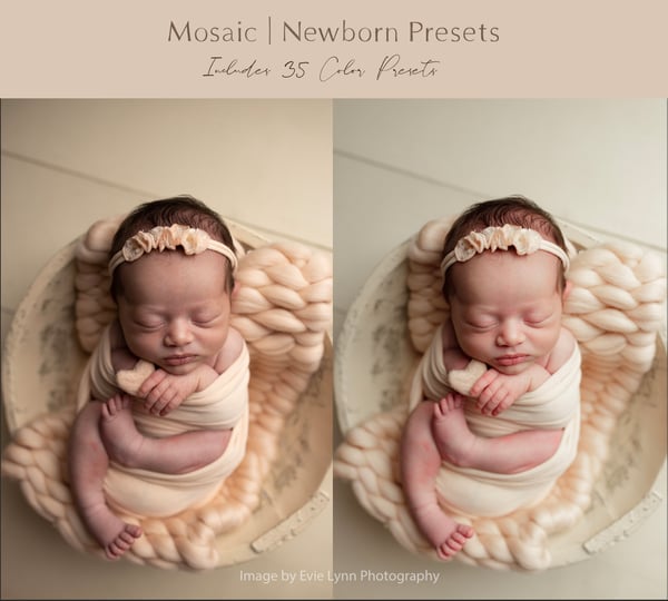 Image of Mosaic | Newborn Presets 