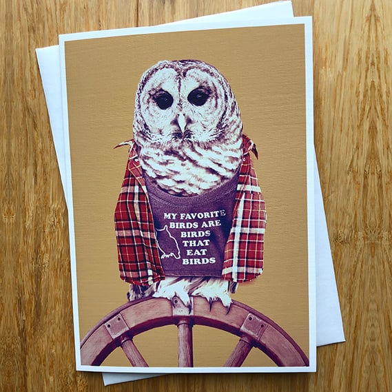 Barred Owl - Greeting Card - By Colossal Sanders