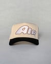 Air Vintage Hat- OG