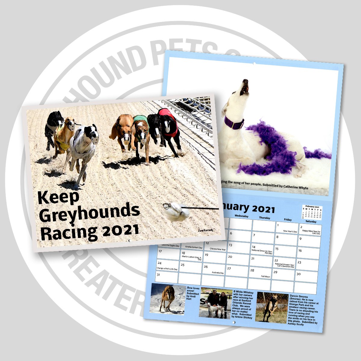 GPA/GNW Keep Greyhounds Racing 2021 calendar GPAGNW store