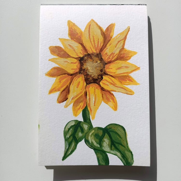 Sunflower 