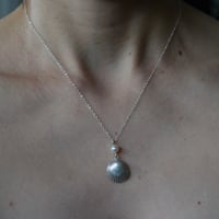 Image 3 of Shell with Pearl Necklace 