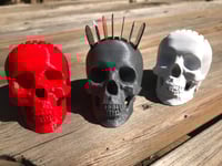 Realistic Skull Pick Holder (3D Printed)