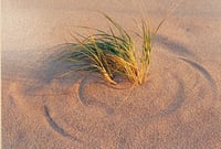 Wind Patterns