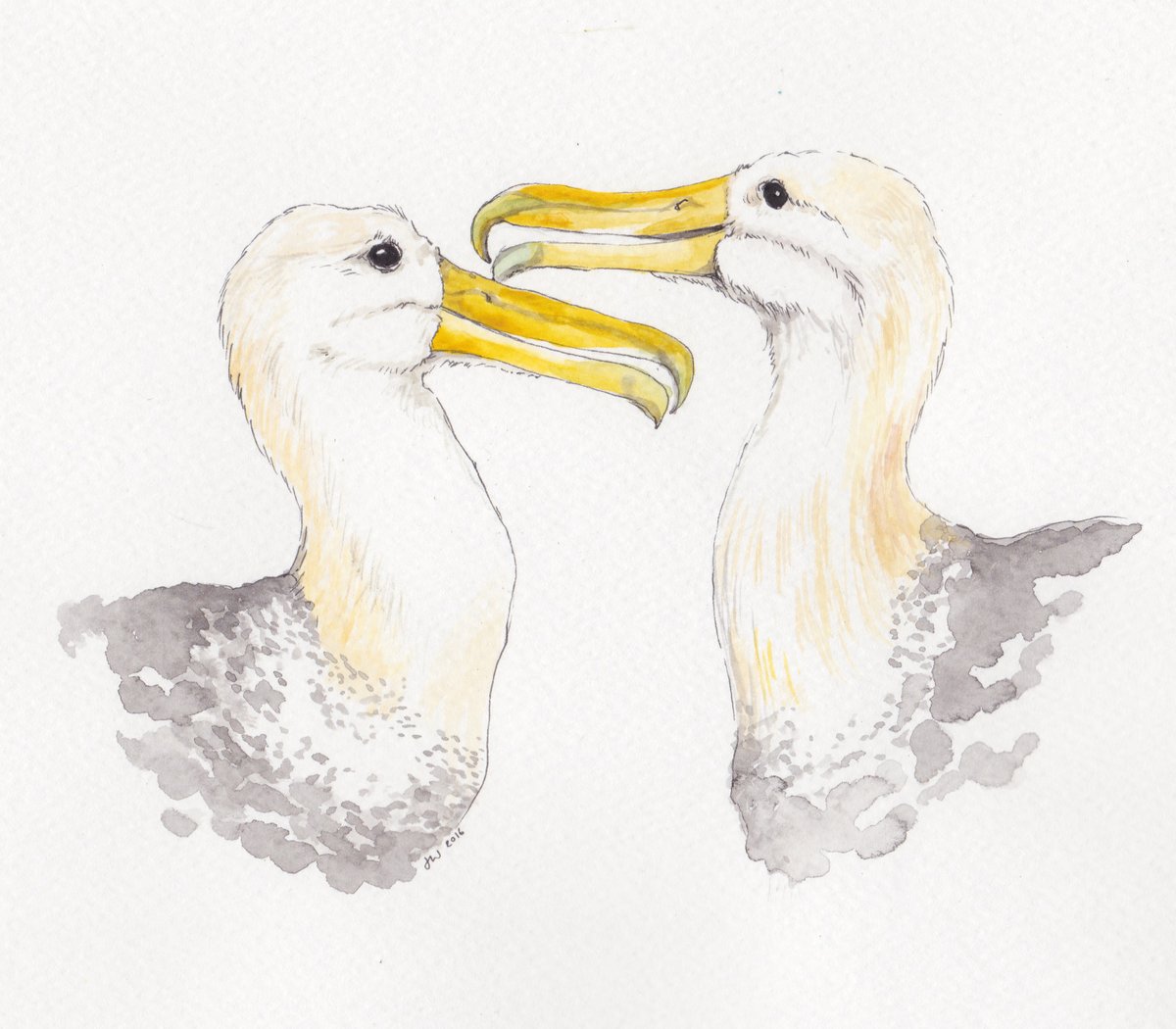 Animal Portrait Commission