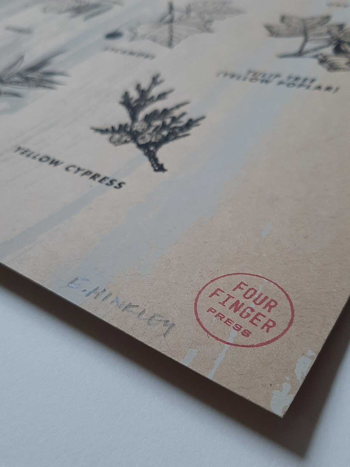 Image of Common Trees of North America