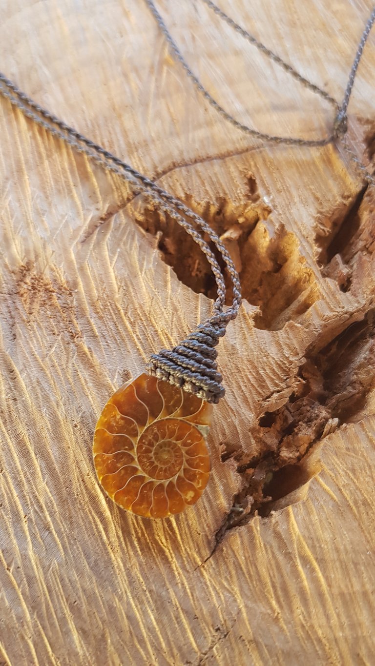 Ammonite necklace 