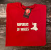 REPUBLIC OF WALES MENS T-SHIRT