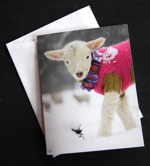 Image of Notecards - Set of 10 - White Lamb in Pink Sweater - FREE SHIPPING