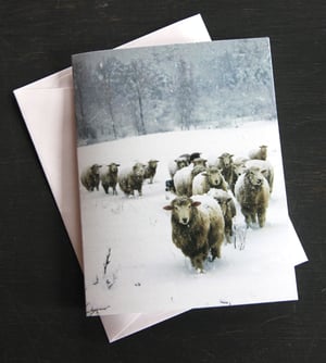 Image of Notecards - Set of 10 - Sheep Coming In - FREE SHIPPING