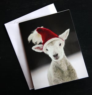 Image of Notecards - Santa Lamb - Set of 10 - FREE SHIPPING